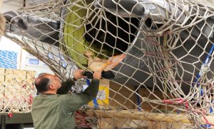 Denmark has dispatched the first of its F-16 aircraft to Argentina as part of a broader agreement to sell 24 jets, along with support equipment and spare parts. The contract, signed in spring 2024 by Denmark’s Defence Acquisition and Logistics Organisation (DALO) and the Argentine Air Force, marks a significant step in cooperation between the two nations.