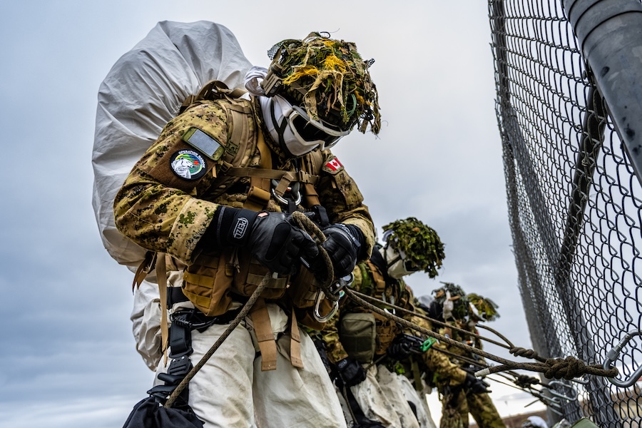 Sweden and Canada launch strategic partnership to strengthen defence and Arctic security