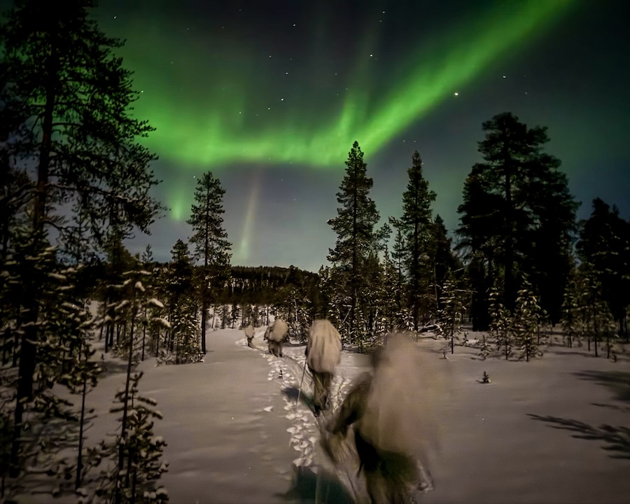 Finnish Defence Forces initiate anti-personnel landmine procurement and training after Ottawa Convention withdrawal