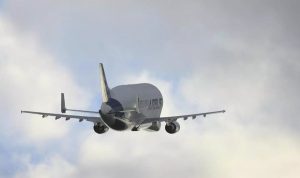 Airbus-built EUTELSAT 36D satellite shipped inside the BelugaST to its launch site