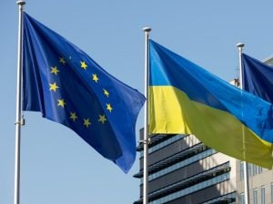 Ukraine’s share in EU arms exports rises significantly, Eurostat data shows