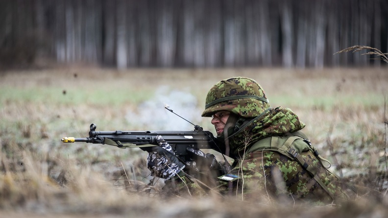 Estonia buys loitering munition to increase indirect fire capabilities