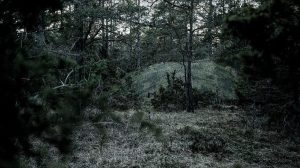 France orders multispectral camouflage nets from Saab