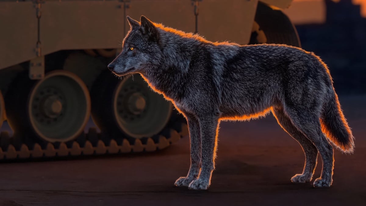 General Dynamics Land Systems to showcase complete Wolf XM30 infantry fighting vehicle design as a scale model at AUSA 2026