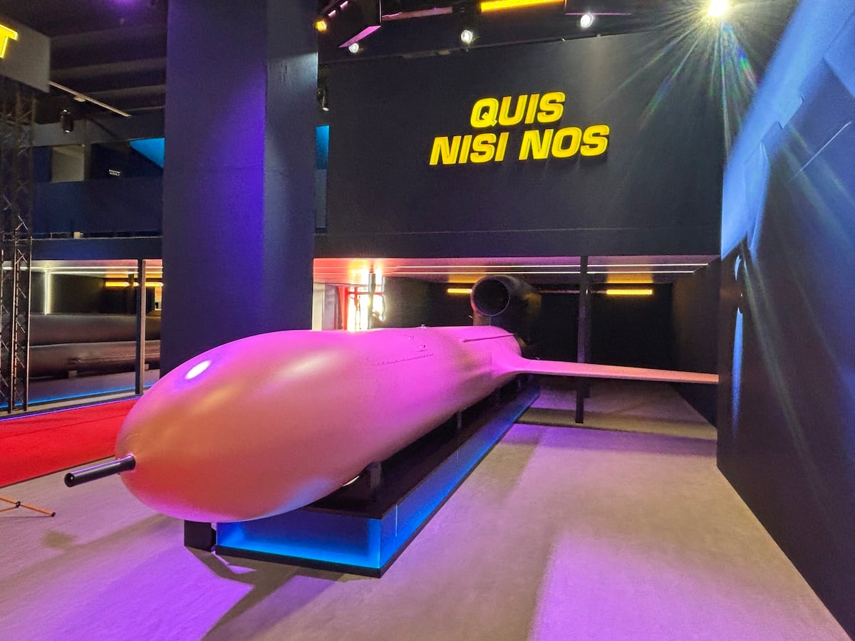 Ukraine joins NSPA partnership to speed military purchases and open tenders to its defence industry
